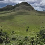The secret superpower of Brazil’s vast savanna
