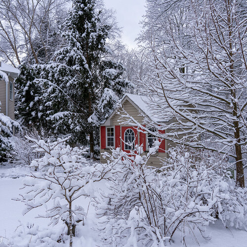 Kevin’s Winter Garden that Supports Wildlife