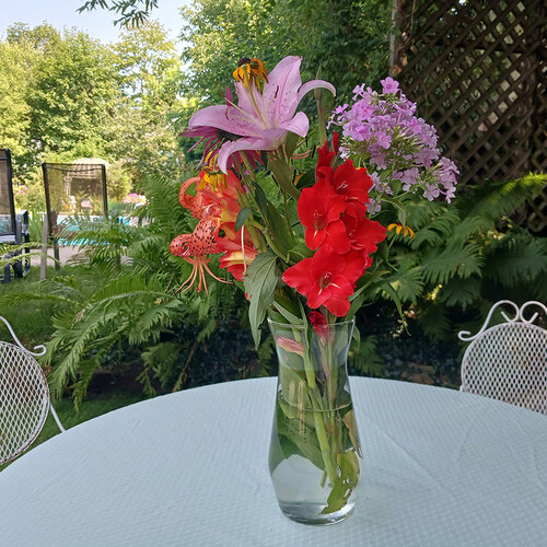 Lee Fights Boredom with Old Garden Photos, Part 1