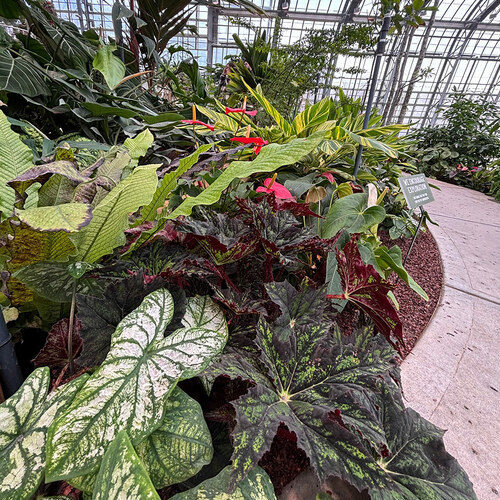 GPOD on the Road: Lauritzen Gardens