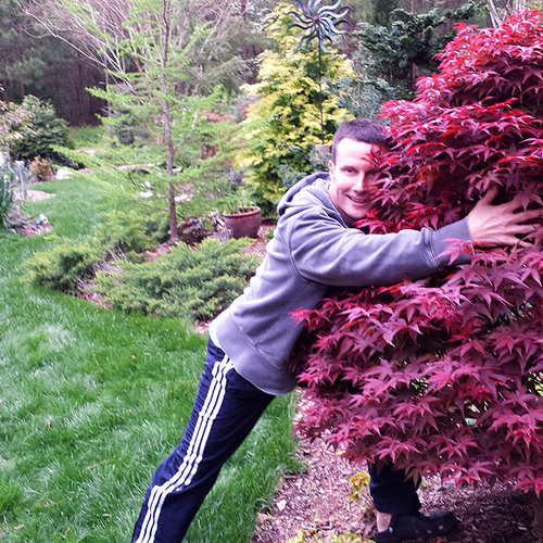 A Tribute to David Sabio and His Gorgeous Yarden