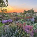 gpod on the road: tom de witte’s new home garden in the netherlands