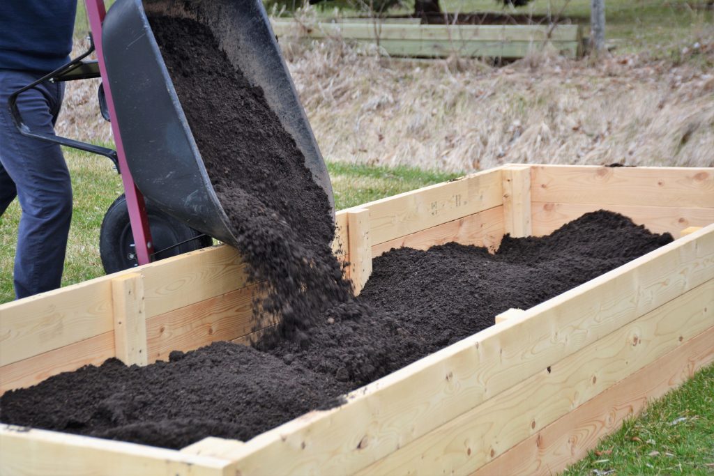 Tips To Help You Create a Raised Garden Bed