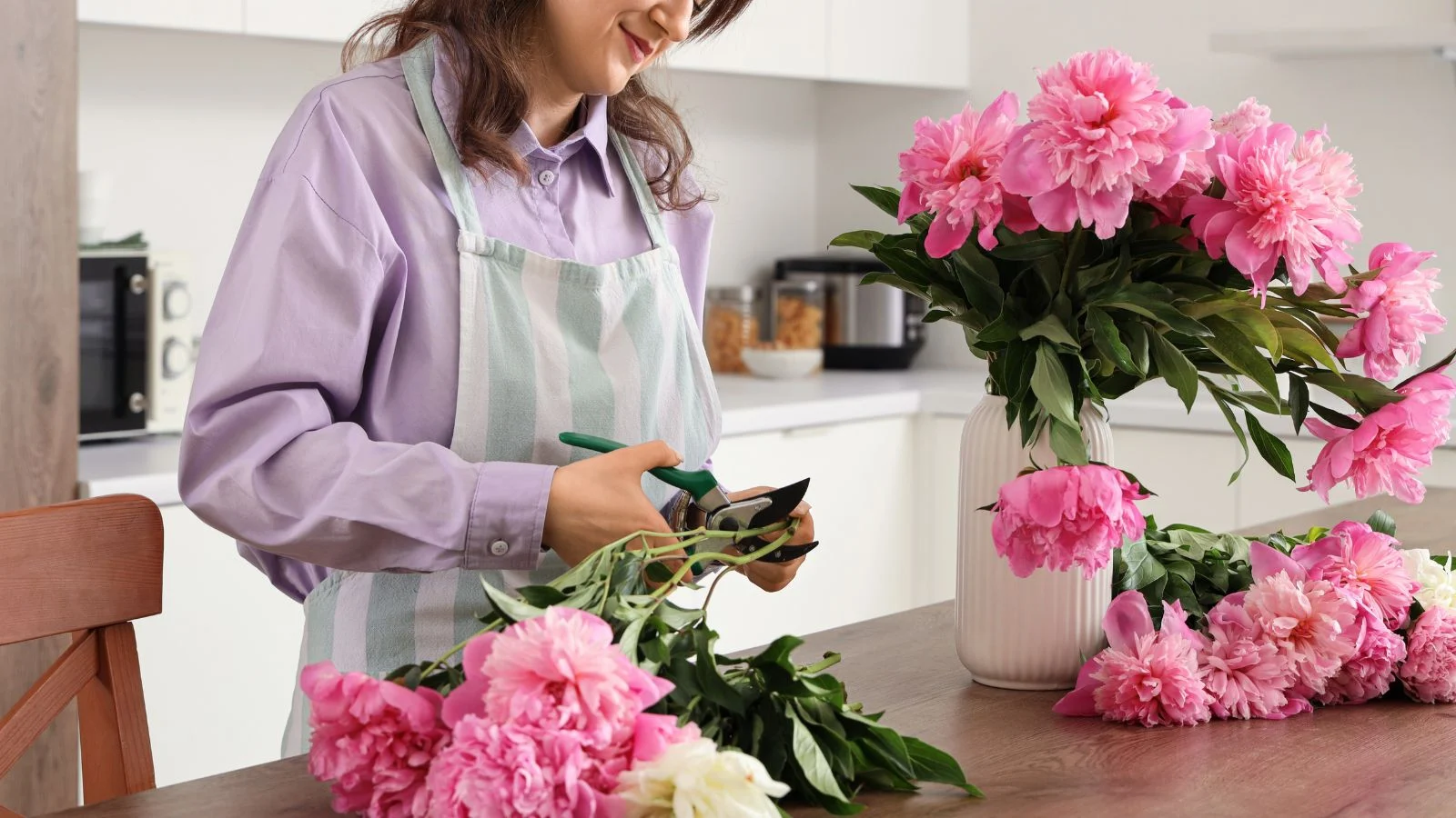 a shot of a person in the process of cuting pink flowers, showcasing how to make cut paeonia lactiflora blooms last