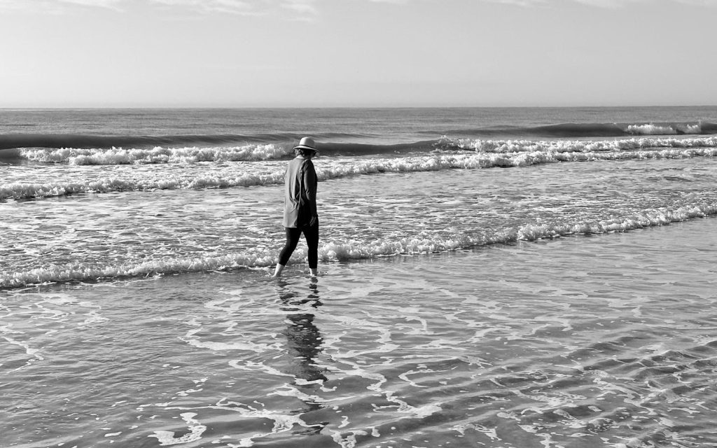 shelling diaries 2026 | part one