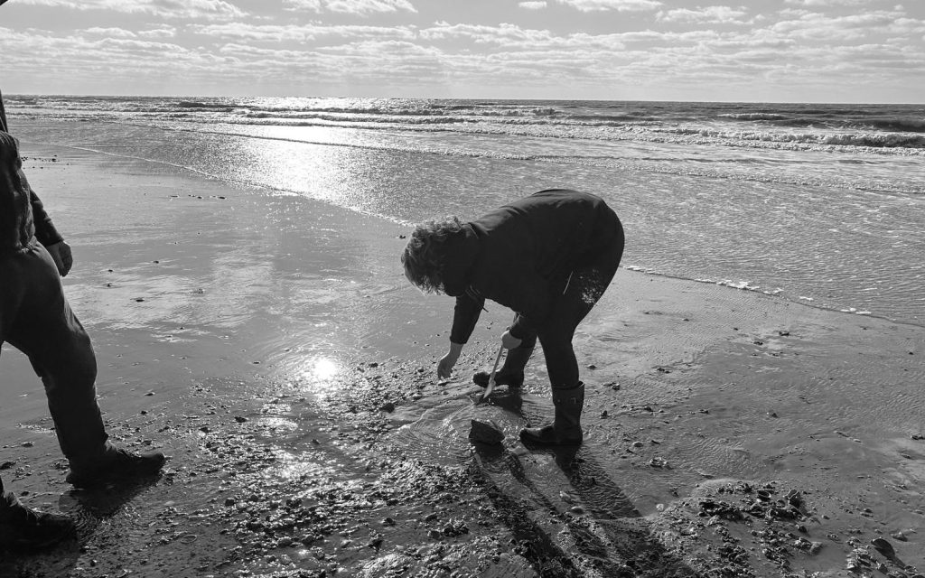 shelling diaries 2026 | part three & “whelk graveyard” map