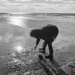 shelling diaries 2026 | part three & “whelk graveyard” map shelling diaries 2026 | part three & “whelk graveyard” map