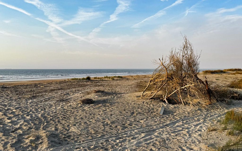 the top three questions about shelling