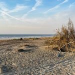 the top three questions about shelling