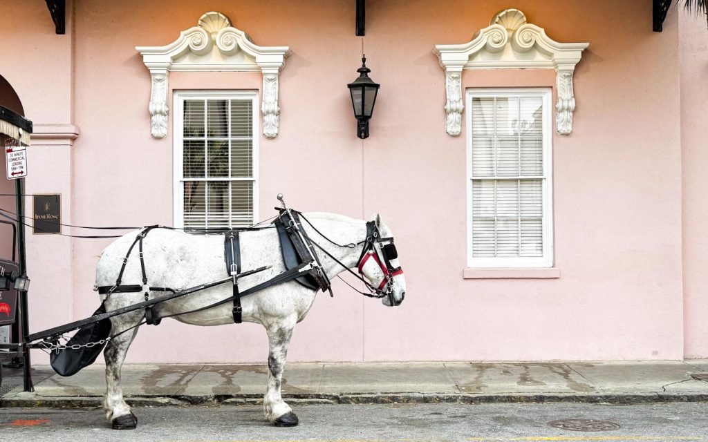 A visit to Charleston, SC