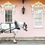 A visit to Charleston, SC A visit to Charleston, SC