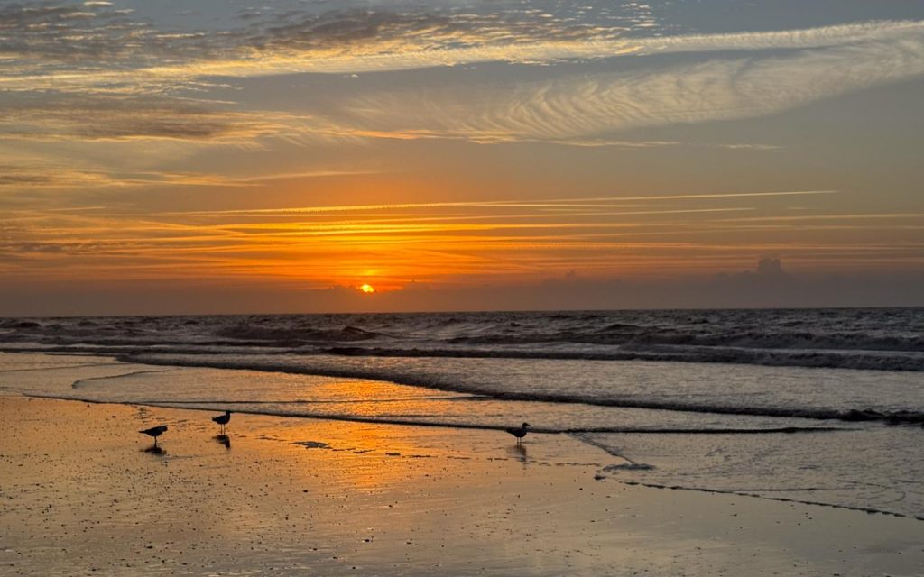 four things | sixty-seven | Miss Mustard Seed