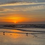 four things | sixty-seven | Miss Mustard Seed four things | sixty-seven | Miss Mustard Seed