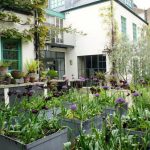home 26 a purple and green planting scheme: neisha crosland’s spring garden