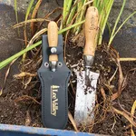 david colorado garden