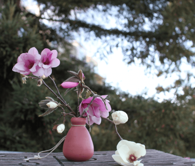 branches bloom indoors