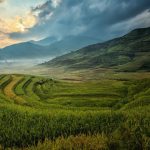 Seasonal Ritual: Where Petals Kiss the Steel Seasonal Ritual: Where Petals Kiss the Steel