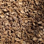 Poetic Guide: Whispering Walls of Earthen Moss