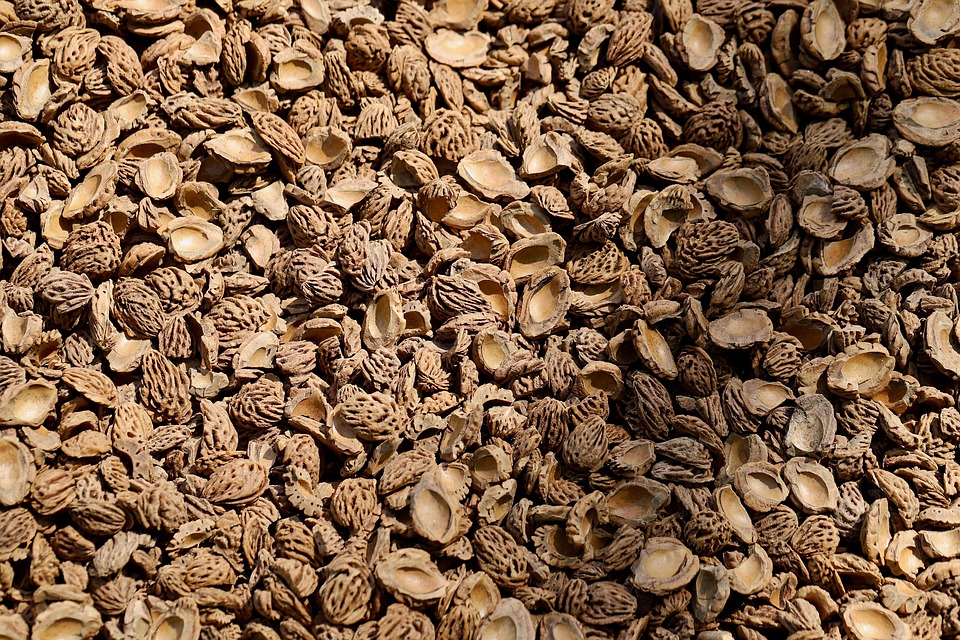 Poetic Guide: Whispering Walls of Earthen Moss