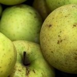 Symbolic Essay on Rainwater’s Silent Dialogue with Soil Symbolic Essay on Rainwater’s Silent Dialogue with Soil