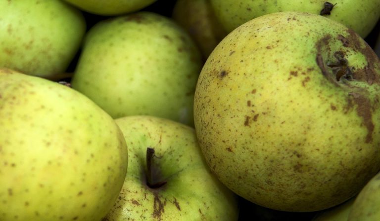 Symbolic Essay on Rainwater’s Silent Dialogue with Soil Symbolic Essay on Rainwater’s Silent Dialogue with Soil