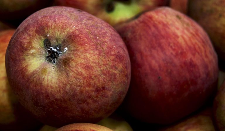 Poetic Guide to Moonlit Watering Cans