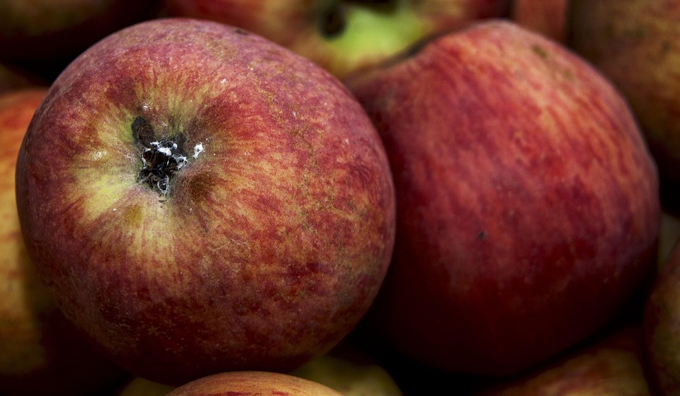 Poetic Guide to Moonlit Watering Cans