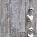 Symbolic Essay: Sanctuary with Seeds: Flowering Hope in Cranny & Soil