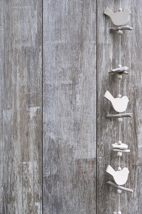 Symbolic Essay: Sanctuary with Seeds: Flowering Hope in Cranny & Soil