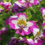 Symbolic Essay in Clay and Light Symbolic Essay in Clay and Light