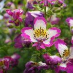 Eco How-To For DIY Eden From Cracked Pipes And Repurposed Hollows