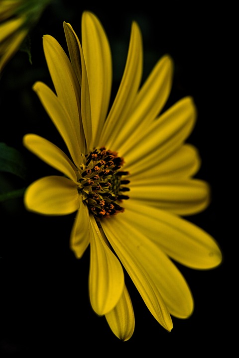 Best Of: Balcony Oasis Designs Best Of: Balcony Oasis Designs