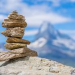 Eco How-To: Nurturing Roots in Winter’s Hush Eco How-To: Nurturing Roots in Winter’s Hush