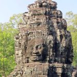 Eco How-To Building a Sanctuary for Fireflies & Dying Daisies Eco How-To Building a Sanctuary for Fireflies & Dying Daisies