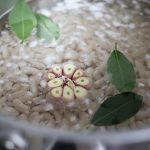 Bean chili flavored with fresh herbs and vegetables is deliciously nutritious Bean chili flavored with fresh herbs and vegetables is deliciously nutritious