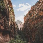 Seasonal Ritual: Autumn’s Embrace: Letting Go Seasonal Ritual: Autumn’s Embrace: Letting Go