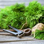 Eco How-To: Birch Bark Lanterns and Moss Nest Weaving