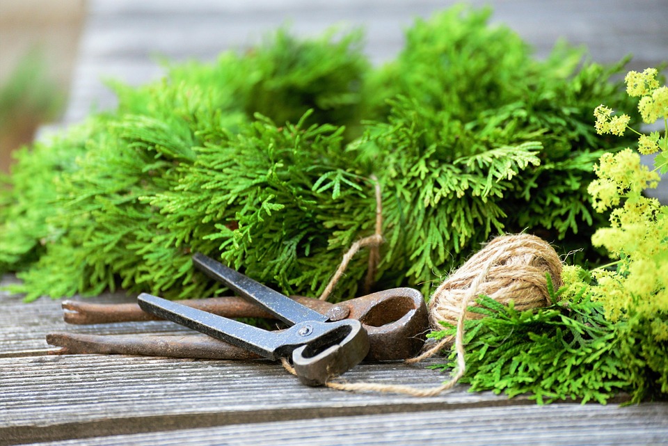 Eco How-To: Birch Bark Lanterns and Moss Nest Weaving