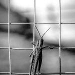 Poetic Guide: Hiking as the Unfurling of Inner Trails Poetic Guide: Hiking as the Unfurling of Inner Trails