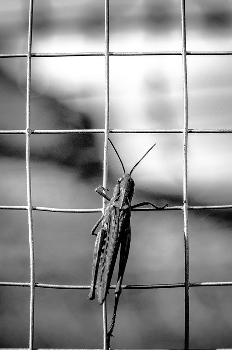 Poetic Guide: Hiking as the Unfurling of Inner Trails Poetic Guide: Hiking as the Unfurling of Inner Trails