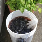 Make Compost Tea With This DIY Home Brewer Make Compost Tea With This DIY Home Brewer