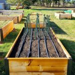 how long to run drip irrigation: use this simple calculator