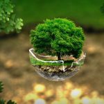 Symbolic Essay Hygge in Composting