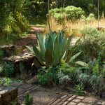 ‘Gardens That Can Save the World’: A New Book on Small Landscapes with Big Ideas