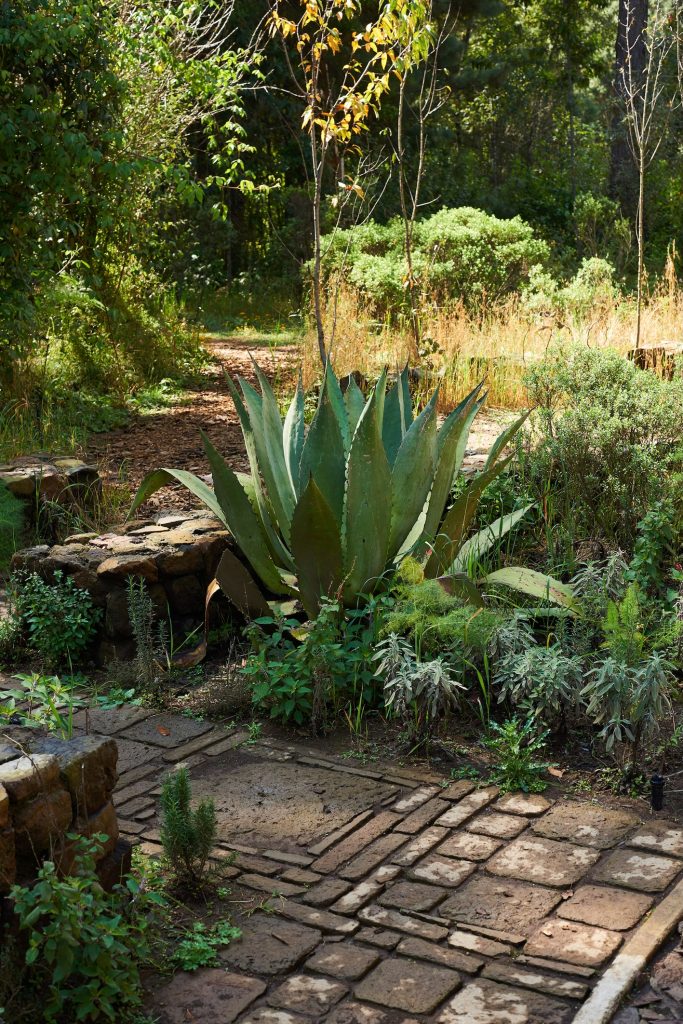 ‘Gardens That Can Save the World’: A New Book on Small Landscapes with Big Ideas