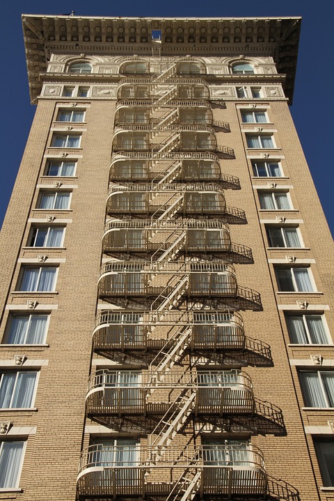 Seasonal Ritual: Frostlit Trails in Snow-Bound Solitary Blossoms