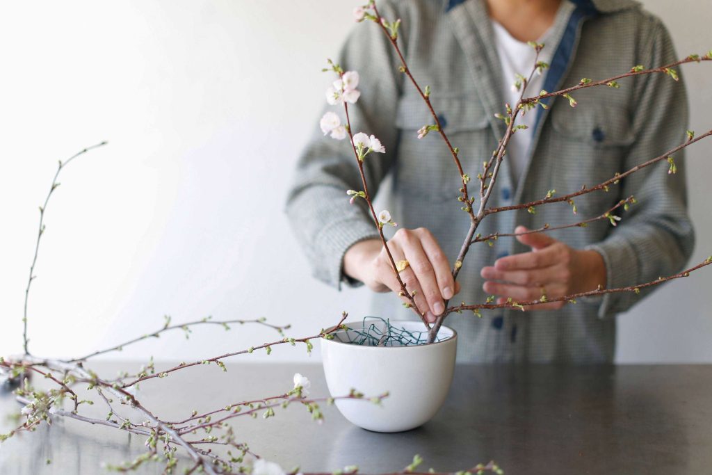 Spring Preview: How to Force Flowering Branches to Bloom Indoors