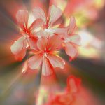 Eco How-To: Alchemy of Terra and Time Eco How-To: Alchemy of Terra and Time