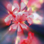 Top 5 Ideas: Tenure of a Terraced Paradise Top 5 Ideas: Tenure of a Terraced Paradise