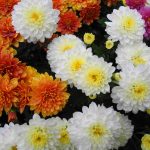 Eco How-To: Weaving Wind into Walls